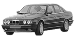 BMW E34 C12BE Fault Code