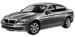 BMW F10 C12BE Fault Code